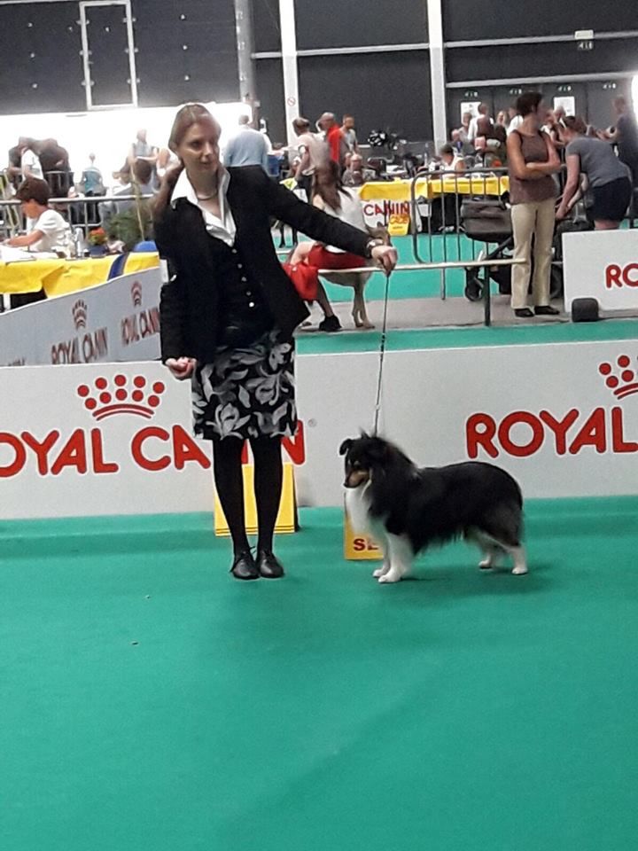 Sirius Lake - BLACKY is NEW INTERNATIONAL CHAMPION!!!