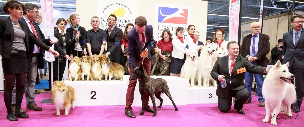 Sirius Lake - SALON DE L'AGRICULTURE - Paris 2017