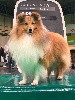  - *** CRUFTS 2023 - Birmingham *** 10/03/2023