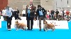  - WORLD DOG SHOW - Madrid 24/06/2022 :