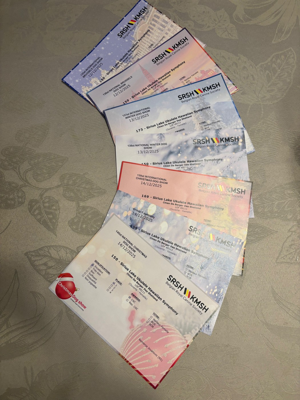 Sirius Lake - "International BRUSSELS DOG SHOW" 🔥 3 DAYS --> 7 SHOWS !!! 🔥 📅 12-13-14/12/2025