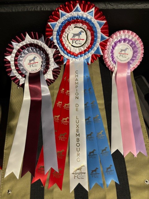 Sirius Lake - INTERNATIONAL DOG SHOW - LUXEMBOURG 📆 05/04/2026